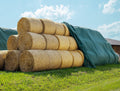 AGRI plus Strohvlies 9,8 × 12,5 m I Stabiles, wetterbeständig