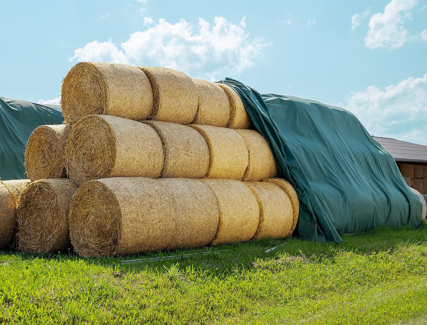 AGRI plus Strohvlies 9,8 × 12,5 m I Stabiles, wetterbeständig